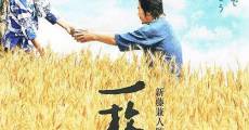 Ichimai no hagaki film complet