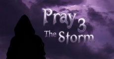 Ver película Pray 3D: La Tormenta