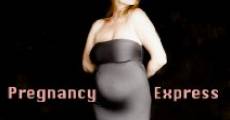 Pregnancy Express (2014) stream