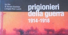 Prigionieri della guerra (1995) stream