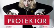 Protektor film complet