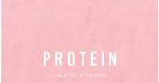 Protein