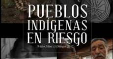 Pueblos indígenas en riesgo