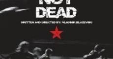 Película Punk's Not Dead