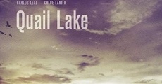 Quail Lake streaming