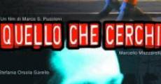 Quello che cerchi (2002) stream