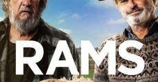 Rams film complet