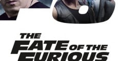 Fast & Furious 8 (2017) stream