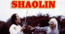 Película Rebel of Shaolin