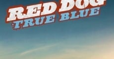 Blue, mon chien d'Australie streaming