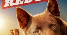 Filme completo Cão Vermelho