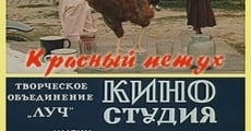 Krasnyy petukh plimutrok (1975) stream