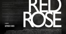 Película Red Rose