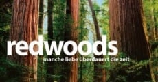 Filme completo Redwoods