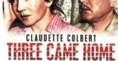 Three Came Home (1950) stream