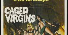 Vierges et vampires (1971) stream