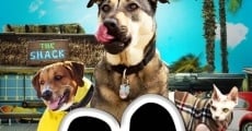 Rescue Dogs (2016) stream