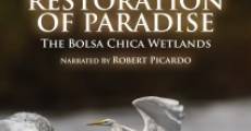 Película Restoration of Paradise