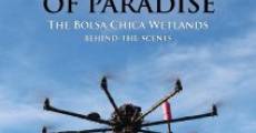 Película Restoration of Paradise: The Bolsa Chica Wetlands - Behind the Scenes