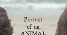 Retrato de un comportamiento animal (2015) stream