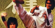 Xin nan quan bei tui (1981) stream