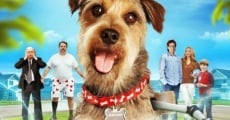 Filme completo Robo-Dog