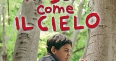 Rosso come il cielo (2006) stream