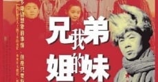 Filme completo Wo de xiong di jie mei