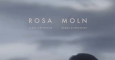 Rosa Moln (2018) stream