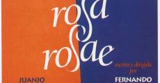 Rosa Rosae (1993) stream