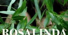 Rosalinda streaming