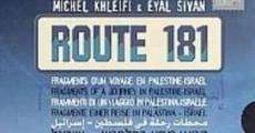 Película Ruta 181: fragmentos de un viaje en Palestina-Israel