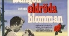 Película Sången om den eldröda blomman