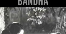 Saat Pake Bandha (1963) stream