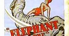 Filme completo O Menino e o Elefante