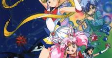 Película Sailor Moon Super S: El milagro del agujero de los sueños