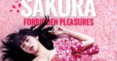 Película Princesa Sakura: Placeres prohibidos