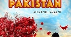 Película Salam Pakistan