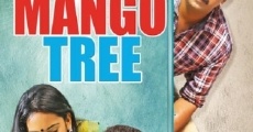 Salt Mango Tree