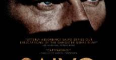 Salvo (2013) stream