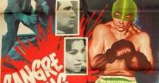 Sangre sobre el ring (1962) stream