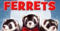 Santa's Little Ferrets streaming