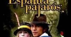 Película Sara la espantapájaros