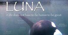 Saving Luna (2007) stream