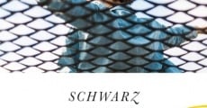 Schwarz Weiss Bunt (2020) stream