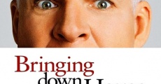 Bringing Down the House (2003) stream