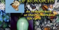 Película Secret Lives of Monarchs