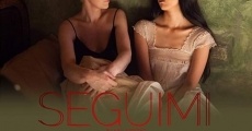 Seguimi (2017) stream