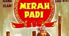 Película Semerah Padi