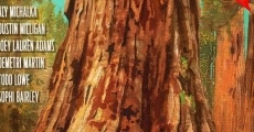 Sequoia